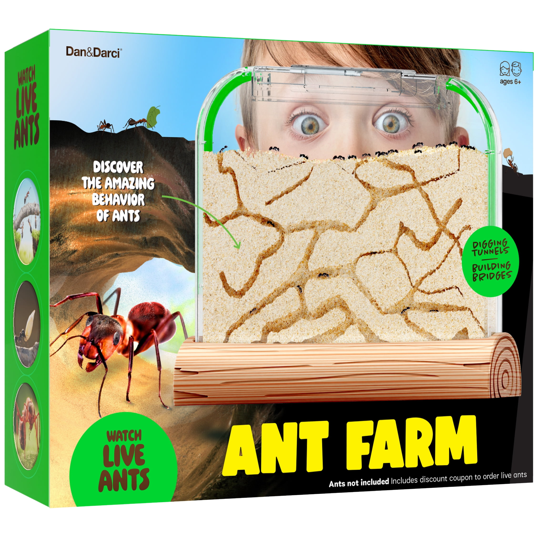 Ant Farm Kit for Kids - Ants Farms Colony - Includes Ant Voucher - Sand Habitat Kits - Bug Terrarium House - Educational Science Gifts for Kids - Nature Learning Toys for Boys, Girls & Adults