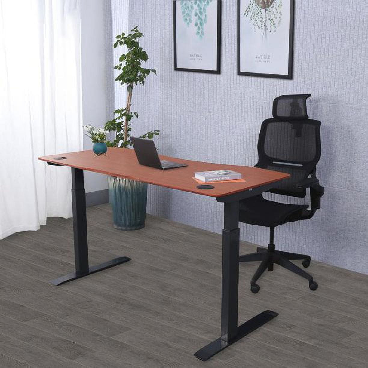 ApexDesk Elite Series 60" W Electric Height Adjustable Standing Desk (Bamboo Top, Black Frame)