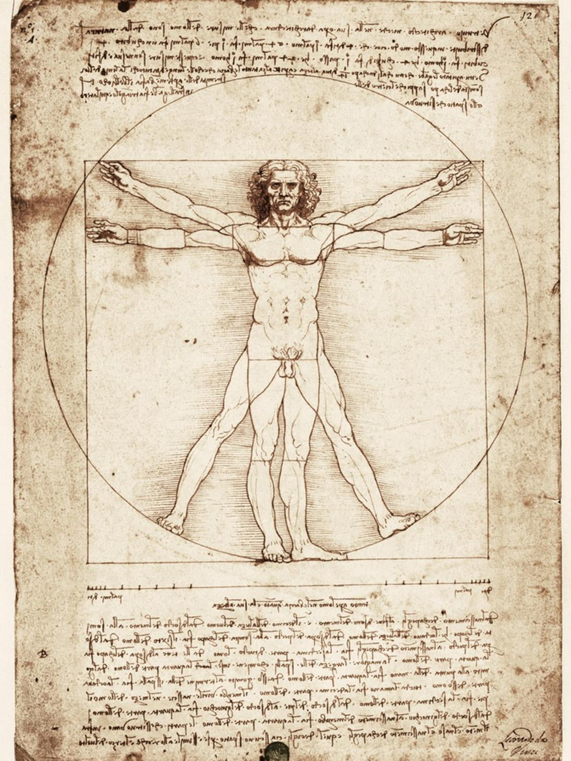 Art.com Vitruvian Man Art Print by Leonardo da Vinci, 12" x 16"