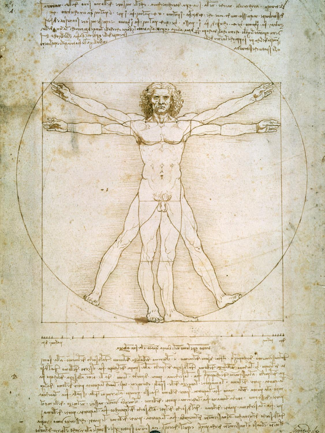 Art.com Vitruvian Man Art Print by Leonardo da Vinci, 12" x 16"