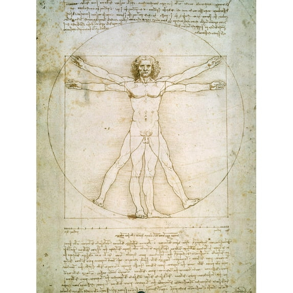 Art.com Vitruvian Man Art Print by Leonardo da Vinci, 12" x 16"