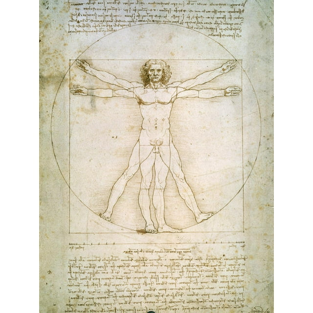 Art.com Vitruvian Man Art Print by Leonardo da Vinci, 12" x 16"