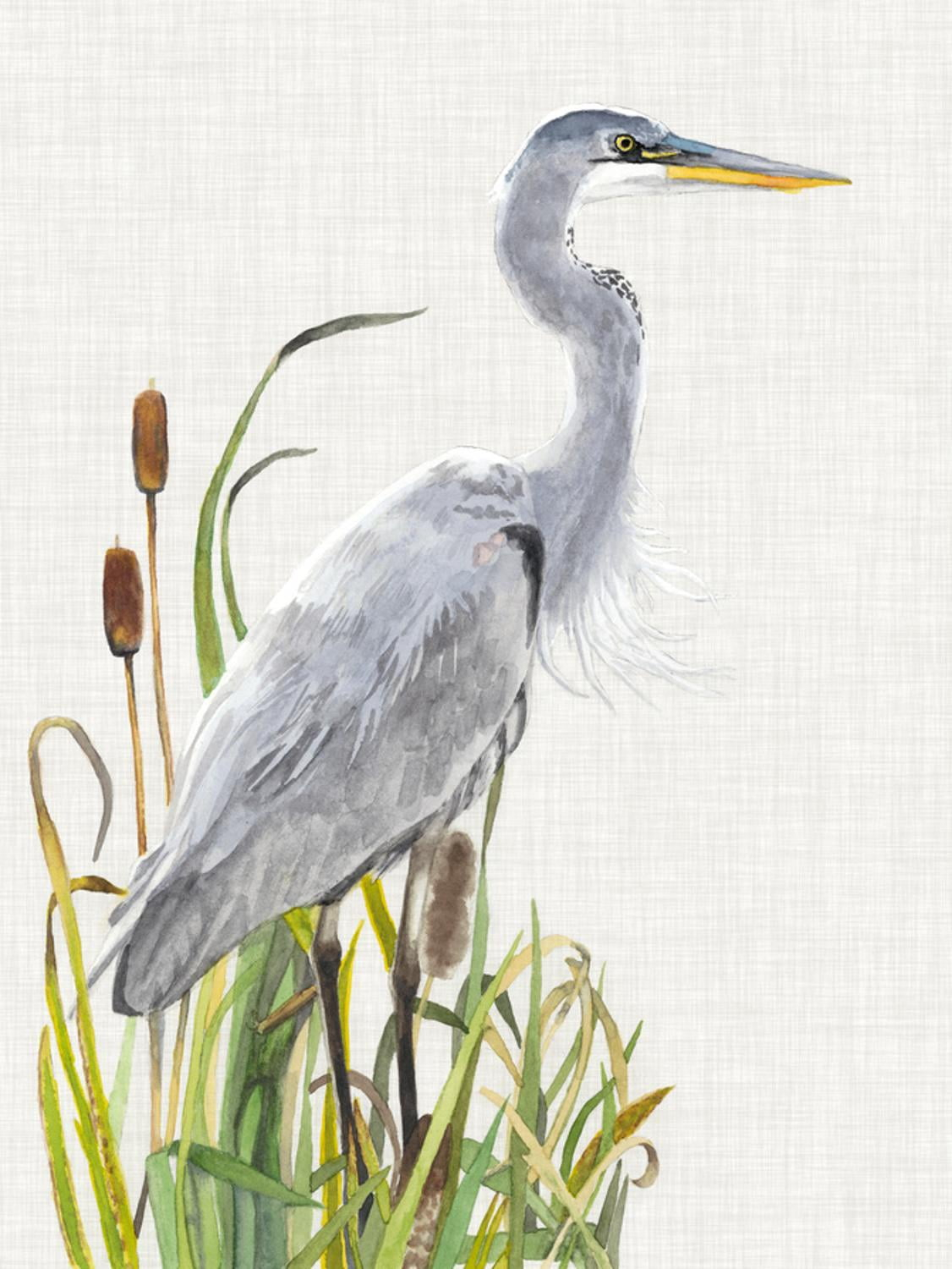 Art.com Waterbirds & Cattails I Art Print by Naomi McCavitt, 18" x 24"
