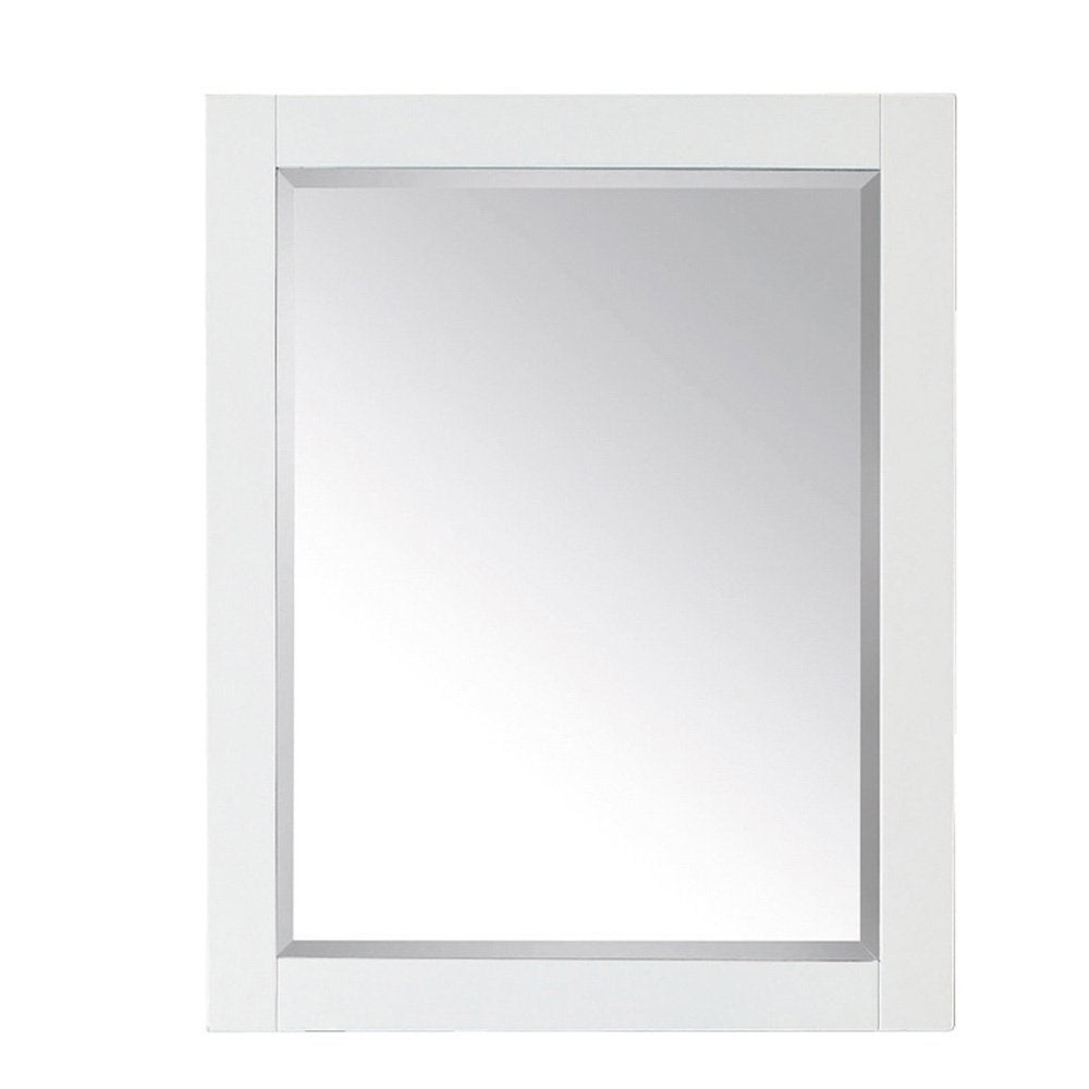 AVANITY  24 in. Mirror Cabinet - 24"W x 30"H White