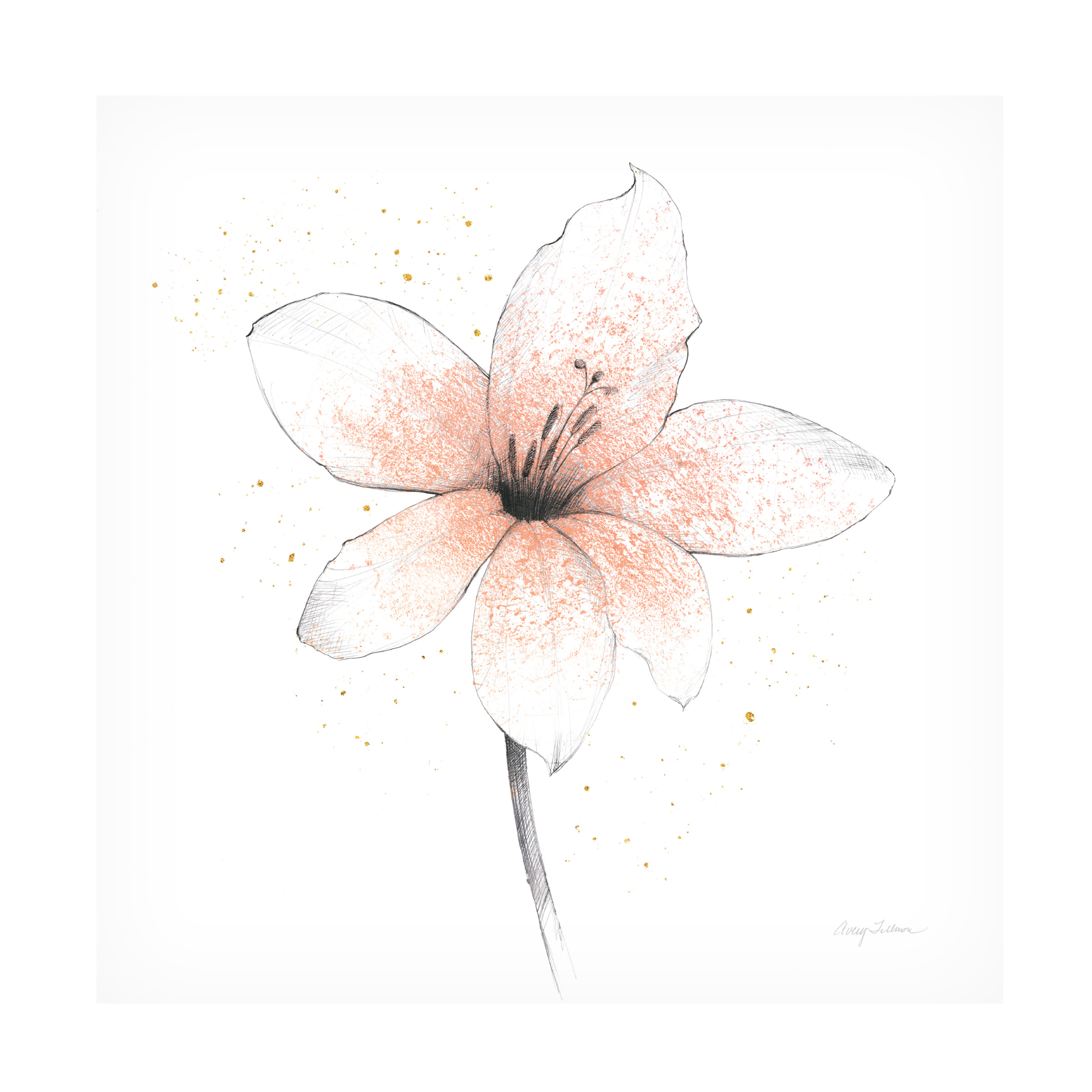 Avery Tillmon 'Coral Graphite Flower II' Canvas Art