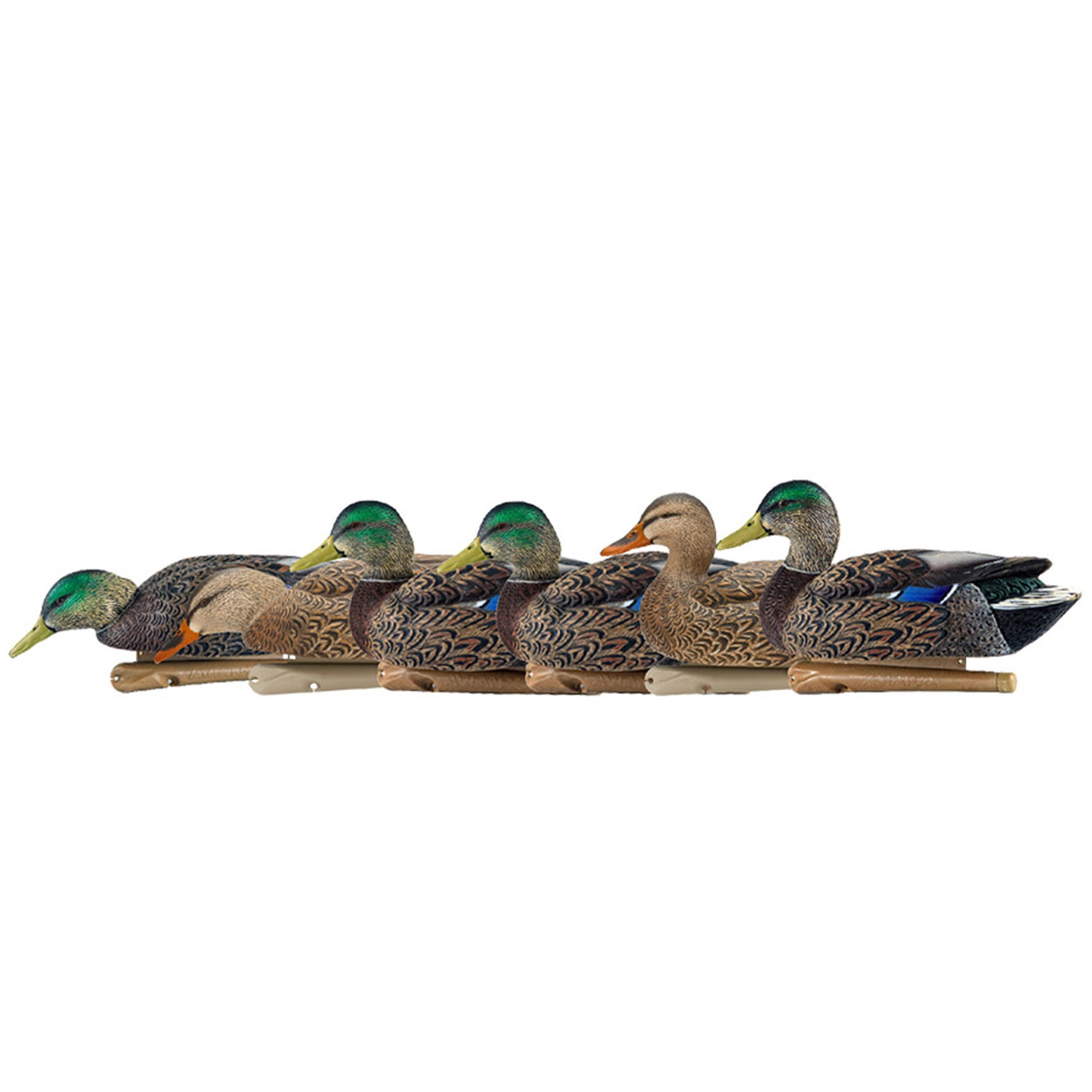 Open Box Avian X Early Season Mallard Duck Realistic Decoys, Multicolor, 6pk