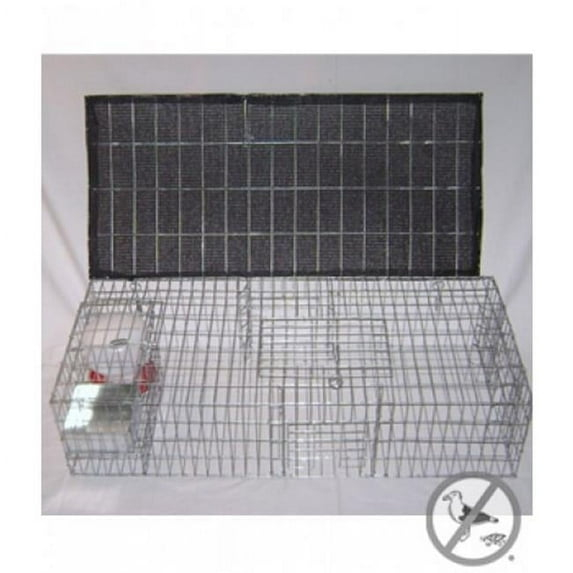 BMP-SW-SP-SFW Pigeon Trap With Shade- Food & Water Containers - 35 x 16 x 8 in.