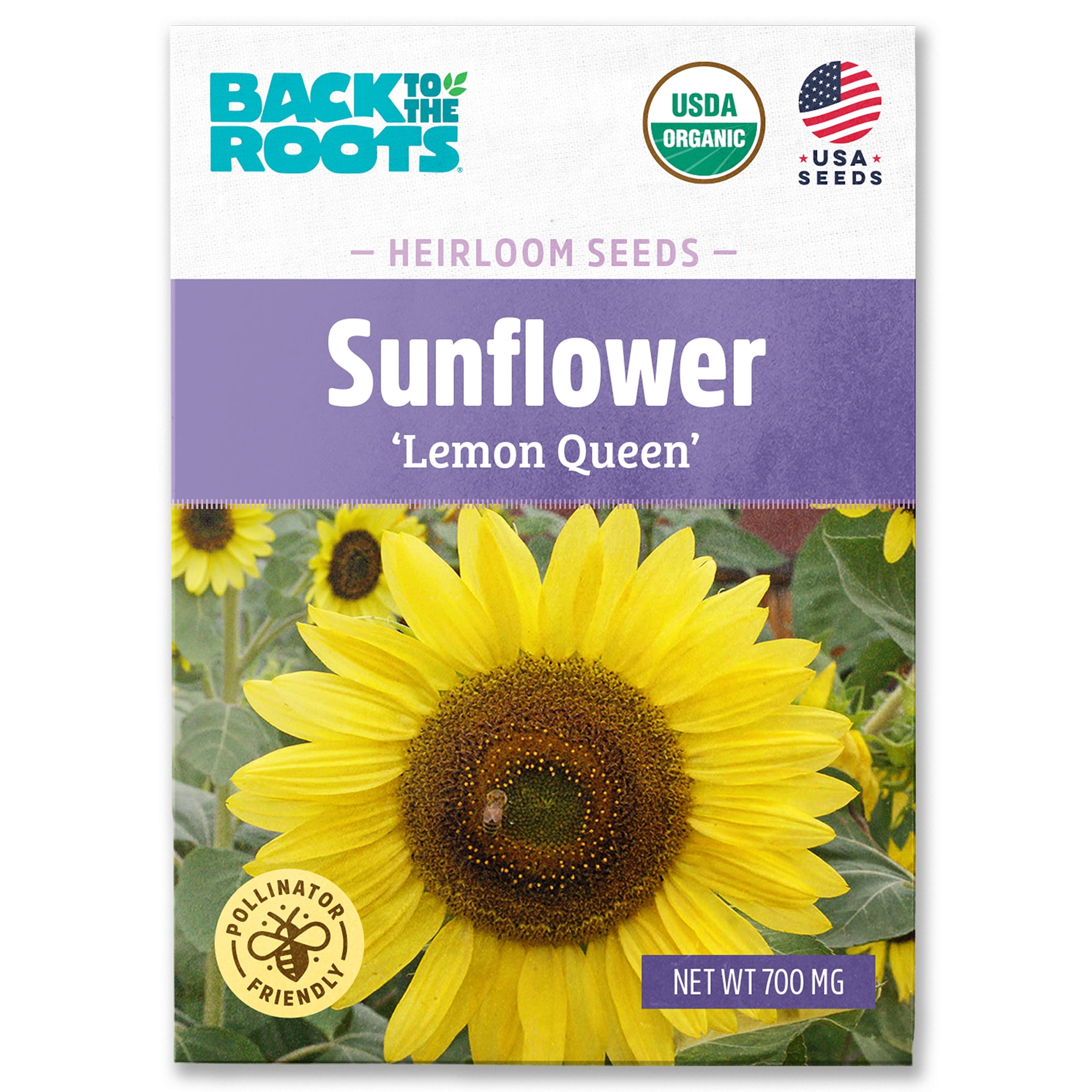 Back to the Roots Organic Sunflower 'Lemon Queen', 1 Seed packet