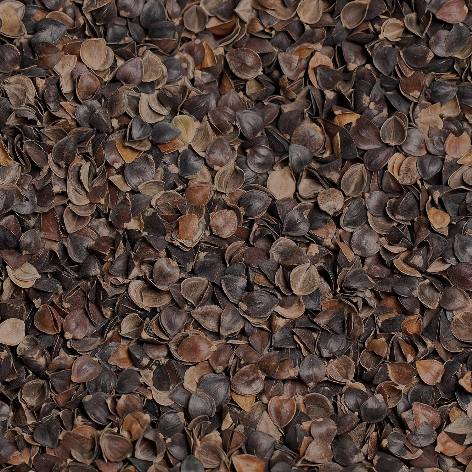 Organic Buckwheat Hulls Filler for Pillows, Yoga Zafus, and Cushions – Grown and Processed in USA, 1LB Pillow Filling