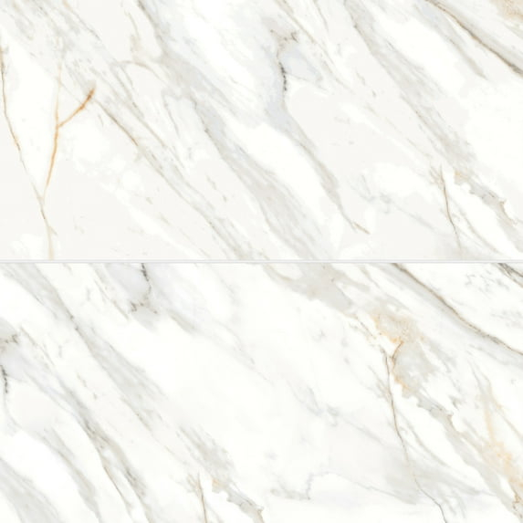 Shandar 24" x 48" Porcelain Marble Look Wall Floor Use Tile in Arezzo Bianco