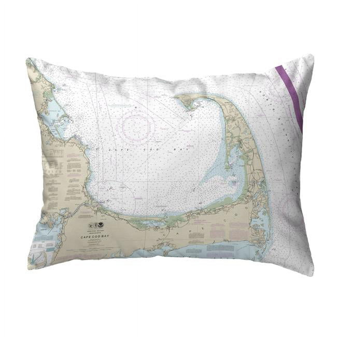 Betsy Drake Interiors Indoor/Outdoor Reversible Throw Pillow