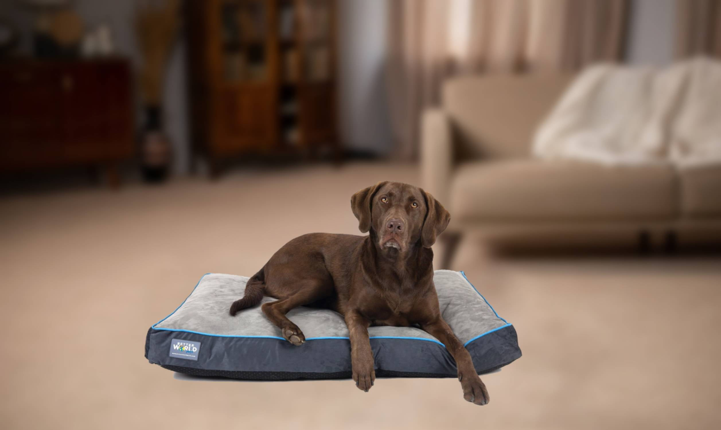 Better World Pets Orthopedic Dog Bed, Waterproof, Premium Memory Foam Washable Dog Bed, Large