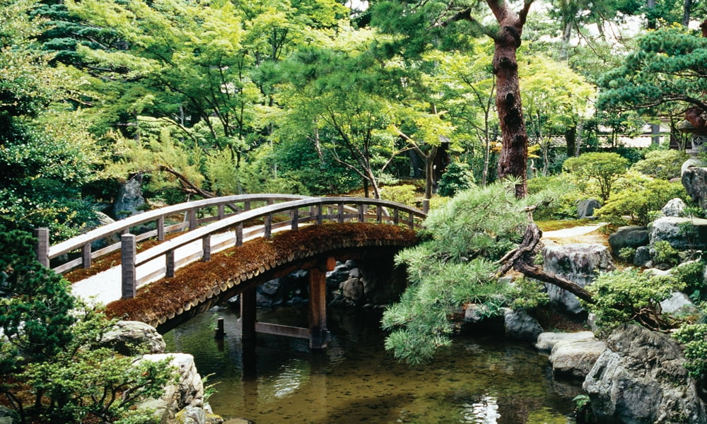 Biggies 120" Bonsai Photograph Window Well Scenes