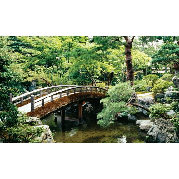 Biggies 120" Bonsai Photograph Window Well Scenes