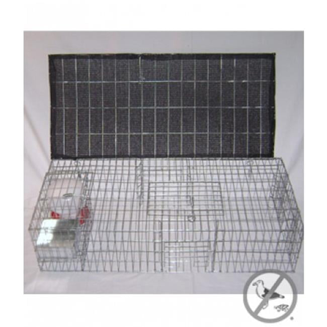 BMP-SW-SP-SFW Pigeon Trap With Shade- Food & Water Containers - 35 x 16 x 8 in.