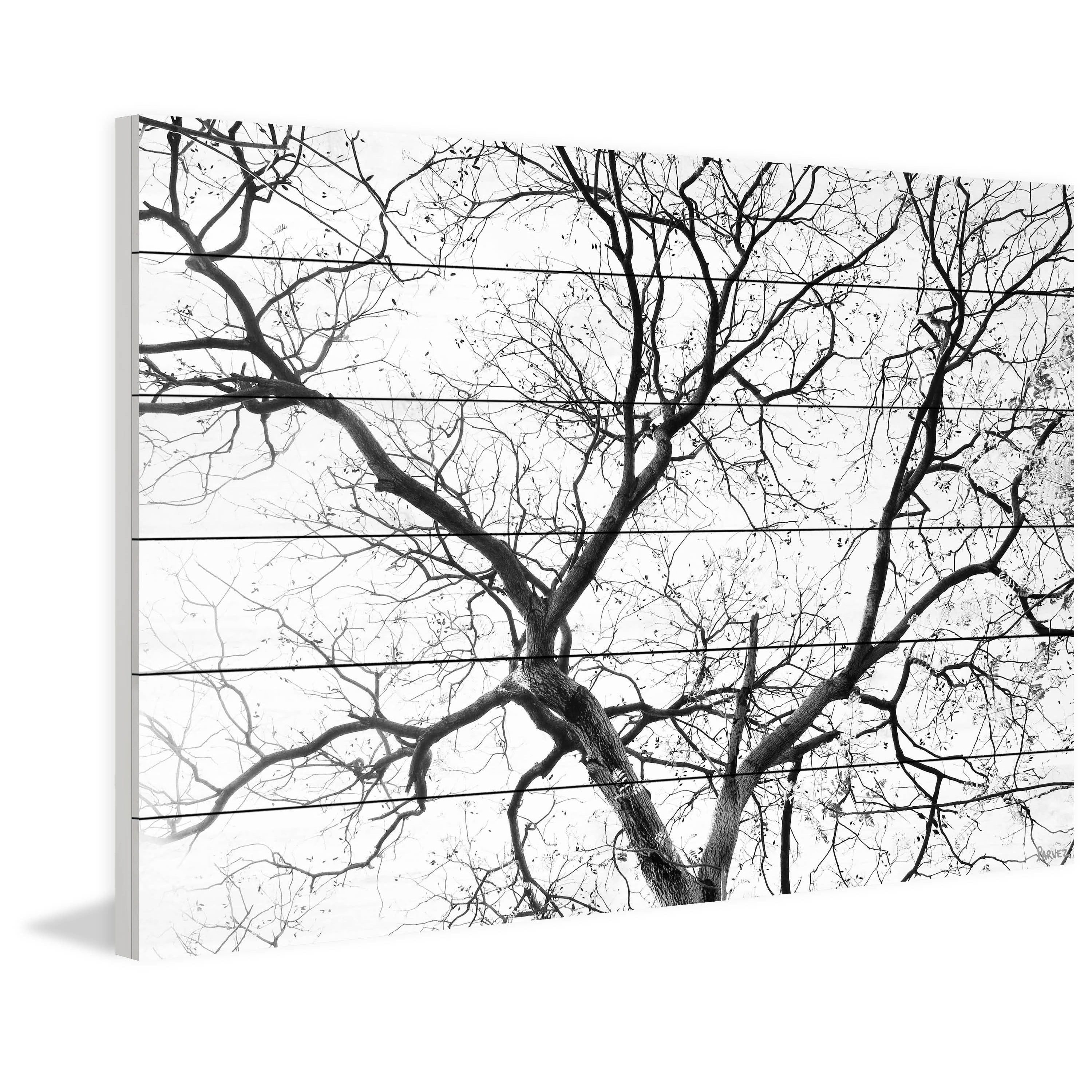 "Black Branches" Painting Print on White Wood