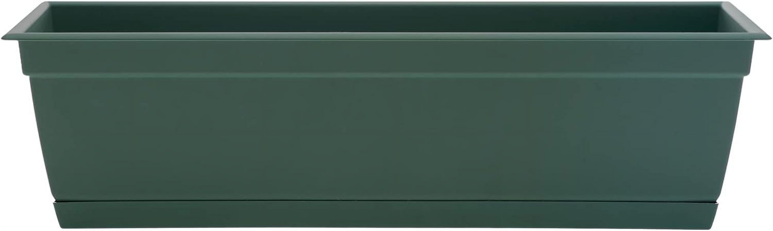 Bloem Dayton 6.87 in. H X 24 in. W Plastic Ocean Series Window Box Turtle Green