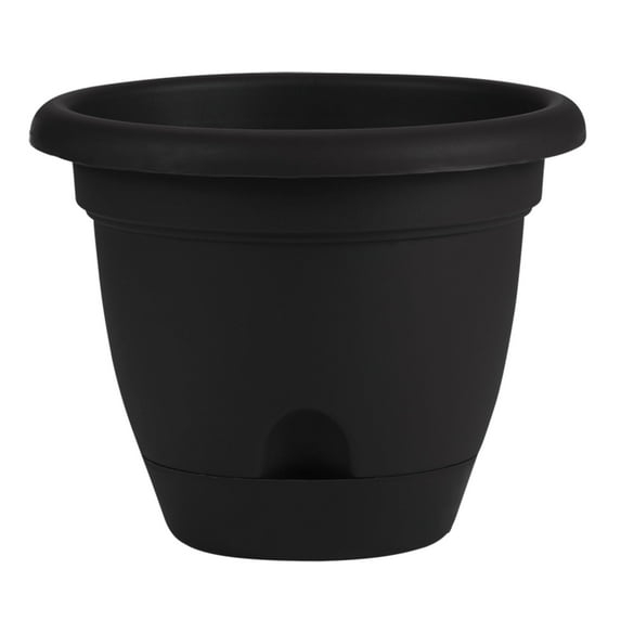 Bloem Lucca 8.8 in. H X 11 in. D Resin Planter Black
