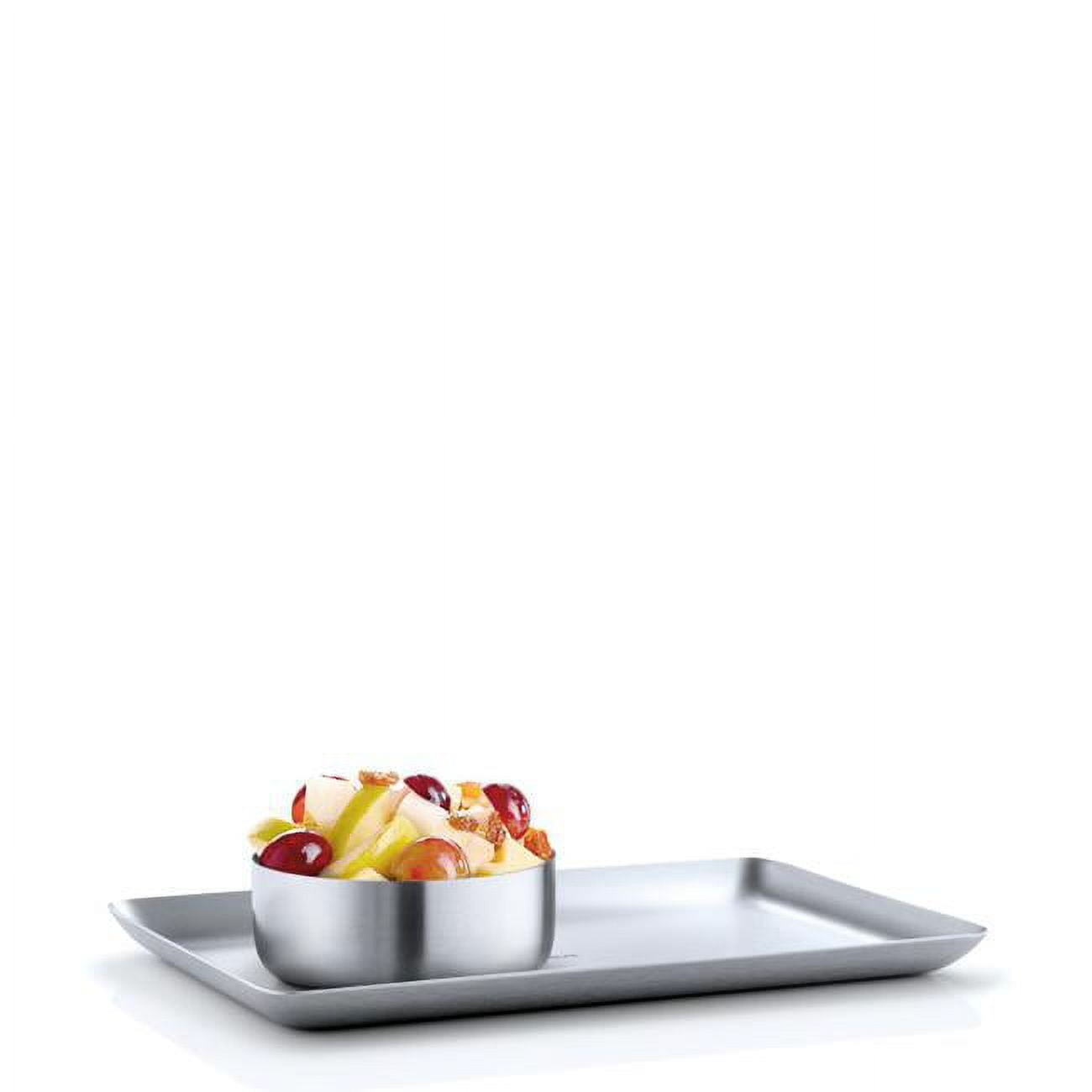 Blomus 63612 Stainless Steel Matt Tray, 15 x 25 cm