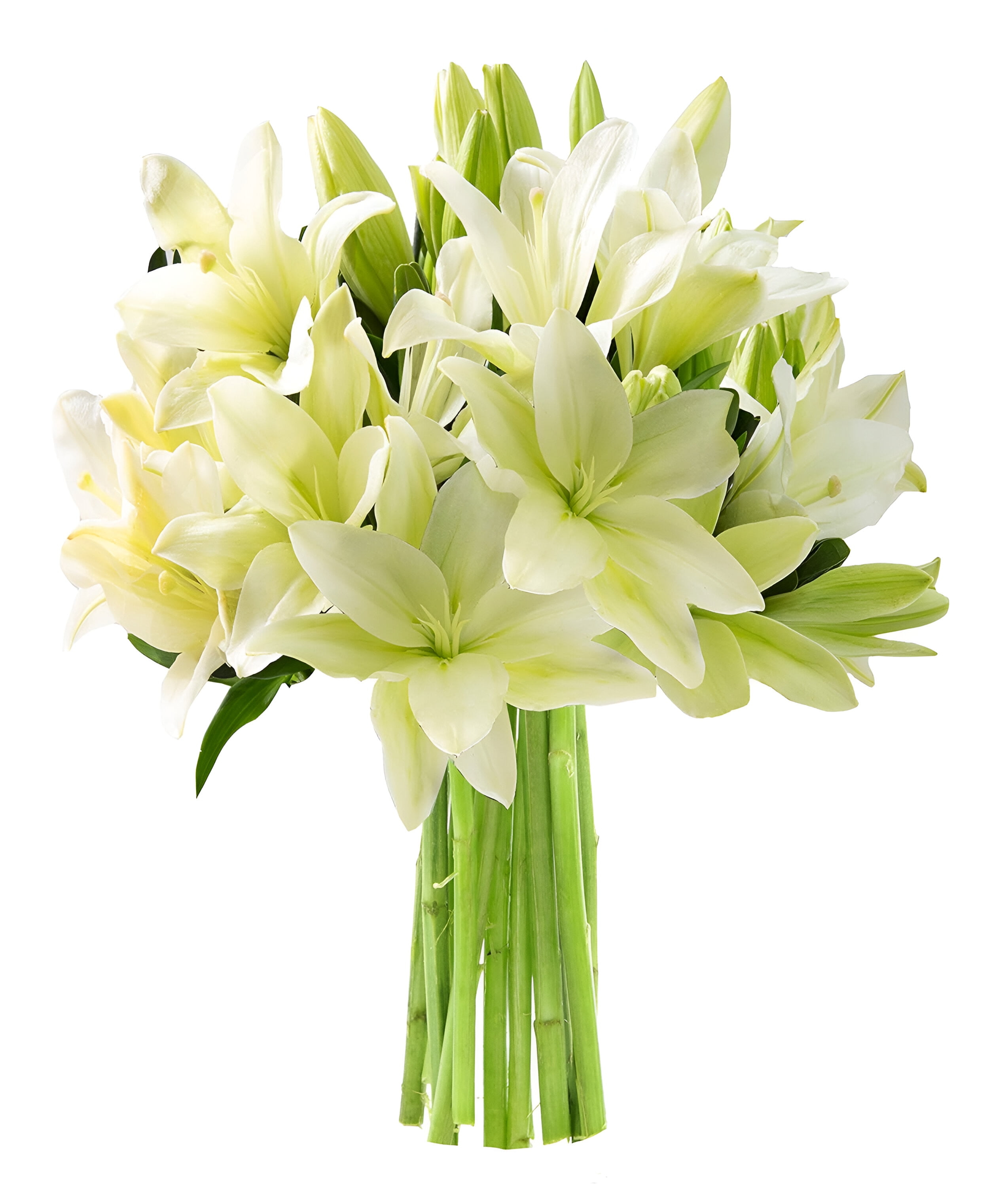 KaBloom : 10 White Lilies, Next-Day Delivery, Gift for Every Occasion.