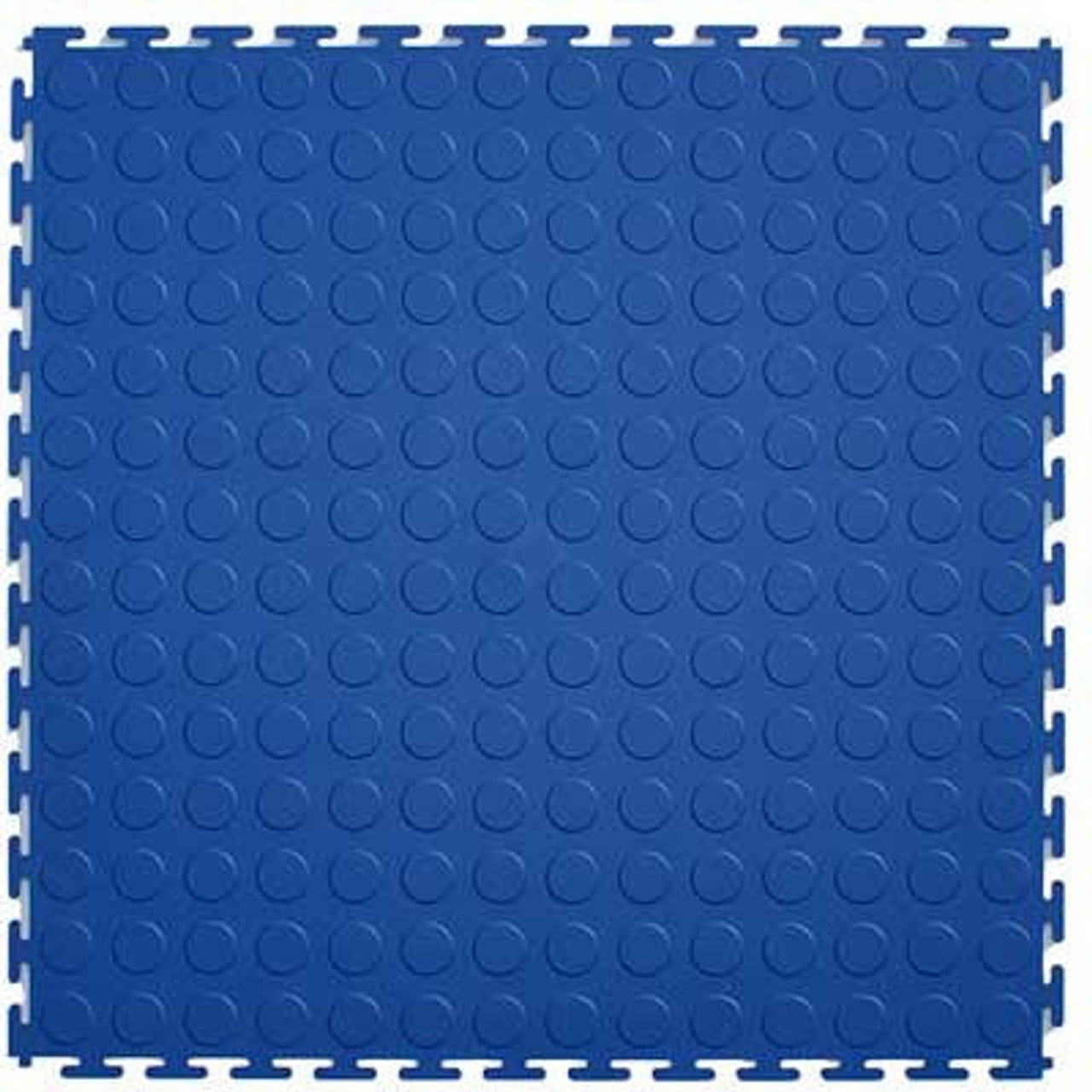 Blue Coin Top 20.5-in x 0.25-in Interlocking Tiles (Case 8)