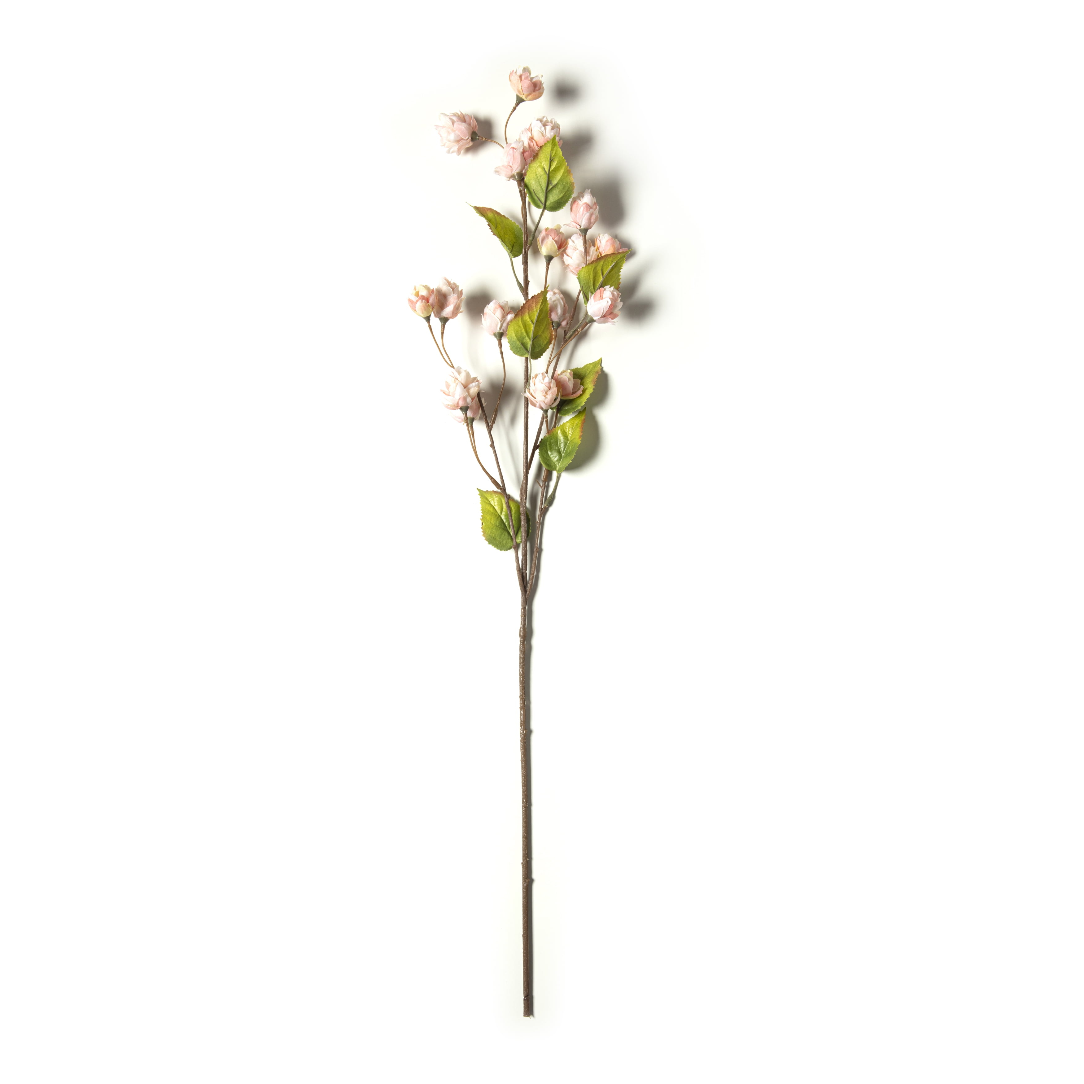 Blush Hops Stem by Ashland®