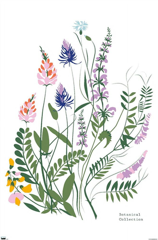 Botanical Collection - Wild Flowers Wall Poster, 22.375" x 34"