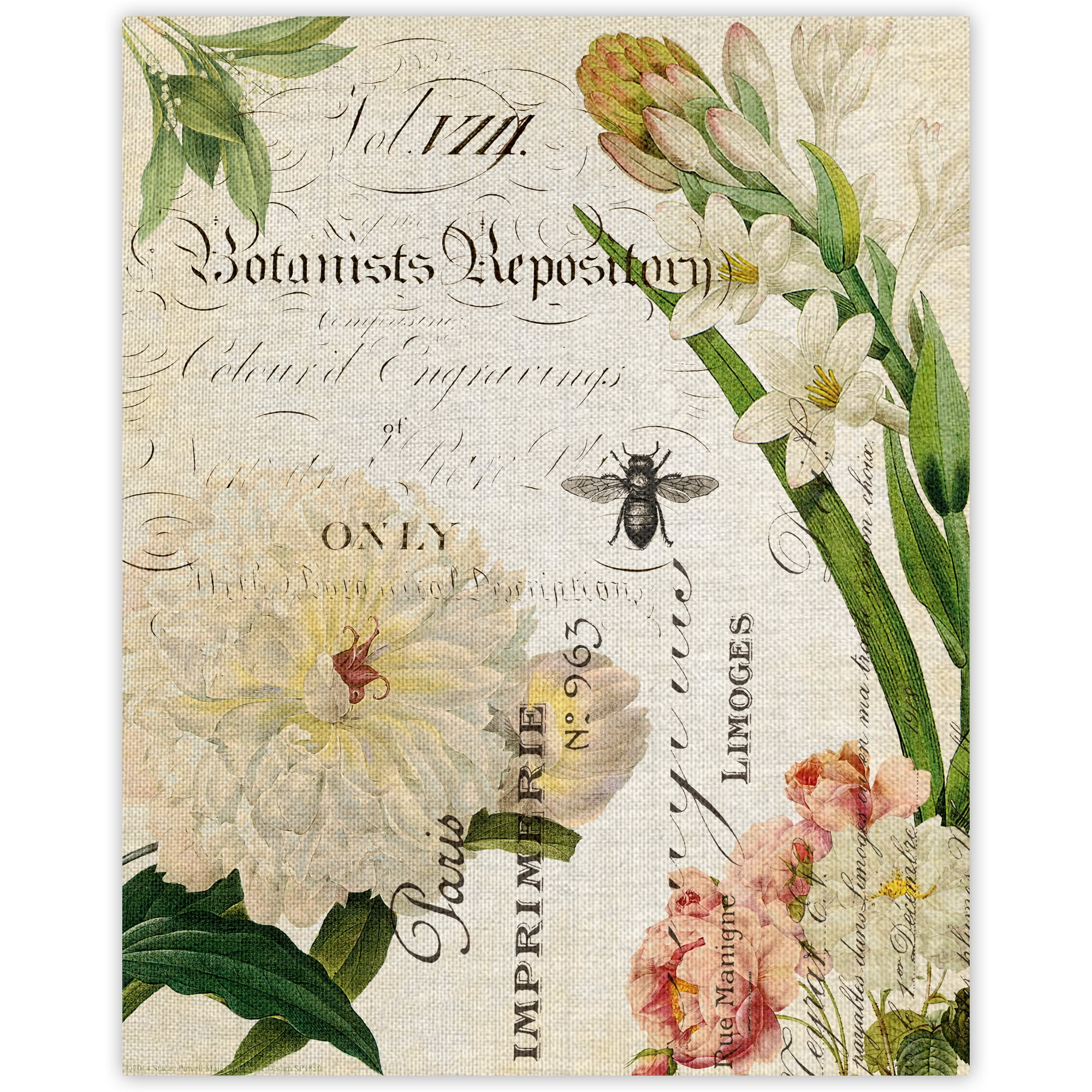 Botany Collage II by Stacey Powell Wrapped Canvas Art Print