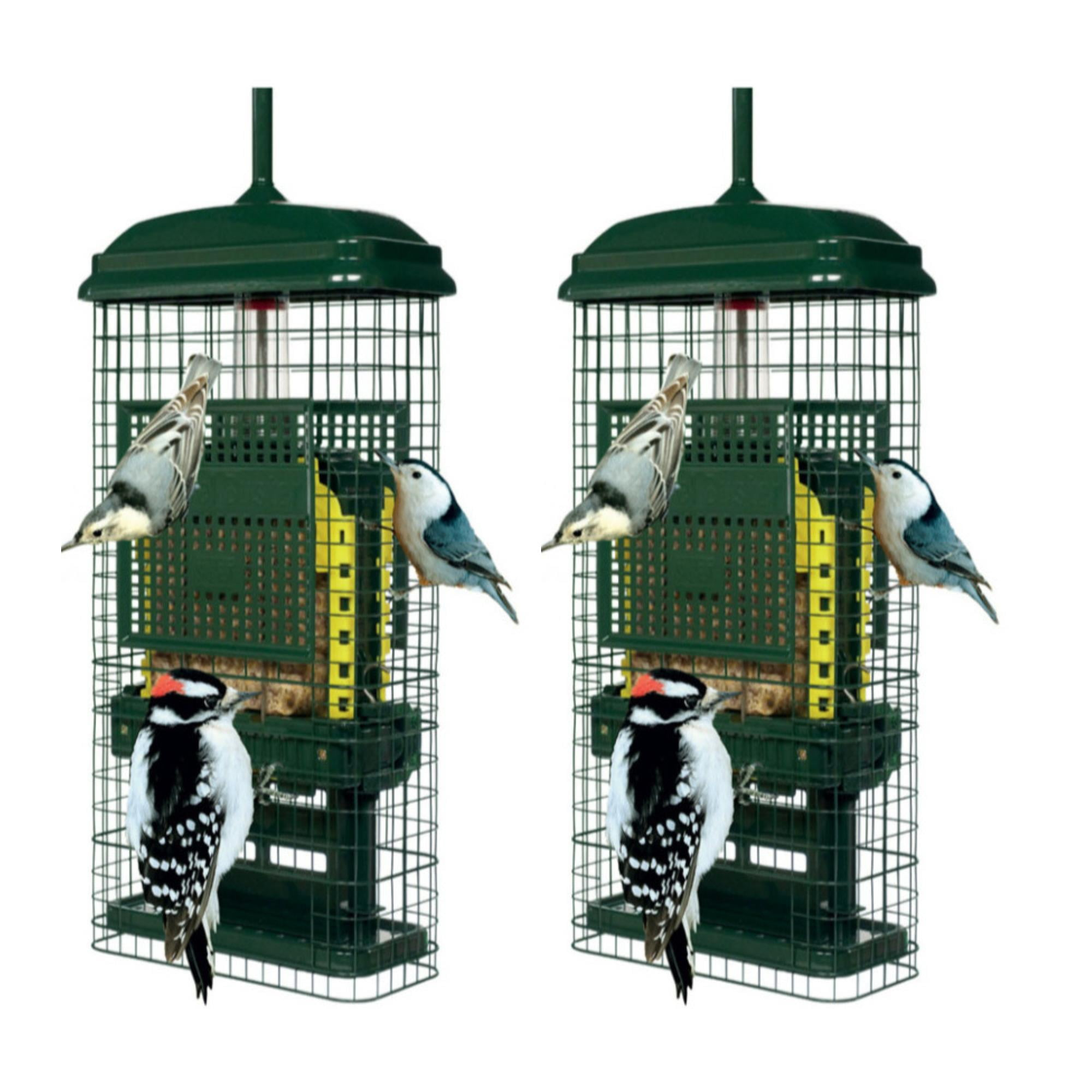 Brome Bird Care Squirrel Buster Truly Squirrel-Proof Suet Feeder (Green, 2-Pack)