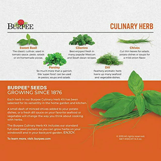 Burpee Culinary Herb Seed Starter Kit