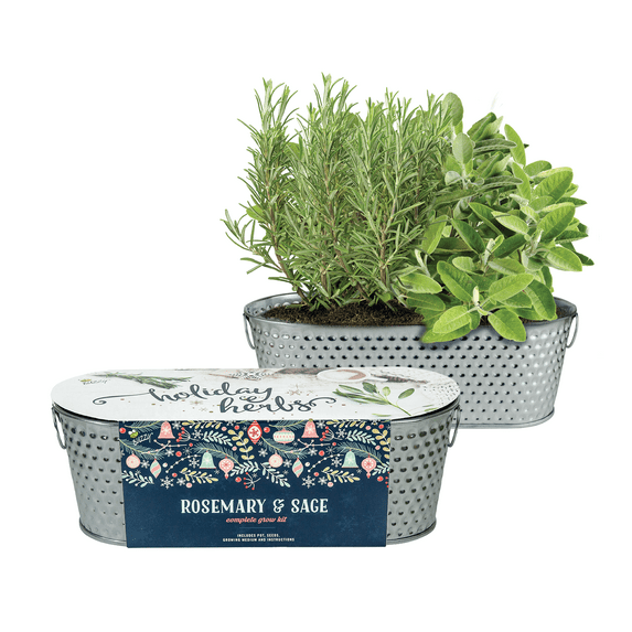 Buzzy Seeds Rosemary and Sage Holiday Herb Garden Indoor Starter Kit