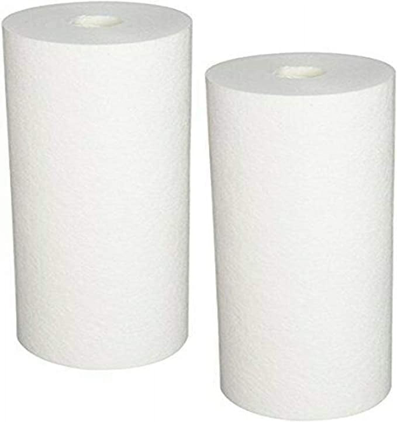 CFS COMPLETE FILTRATION SERVICES EST.2006 Compatible for BF6, BF7, BF9C, BF35, BF36, BF36C Heavy-Duty Cartridge, Single Unit White (2)