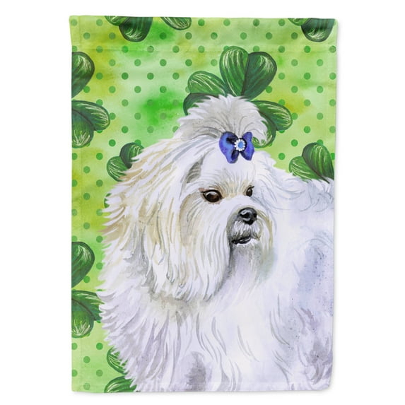 Carolines Treasures BB9825GF Maltese St Patricks Flag Garden Size  Small multicolor