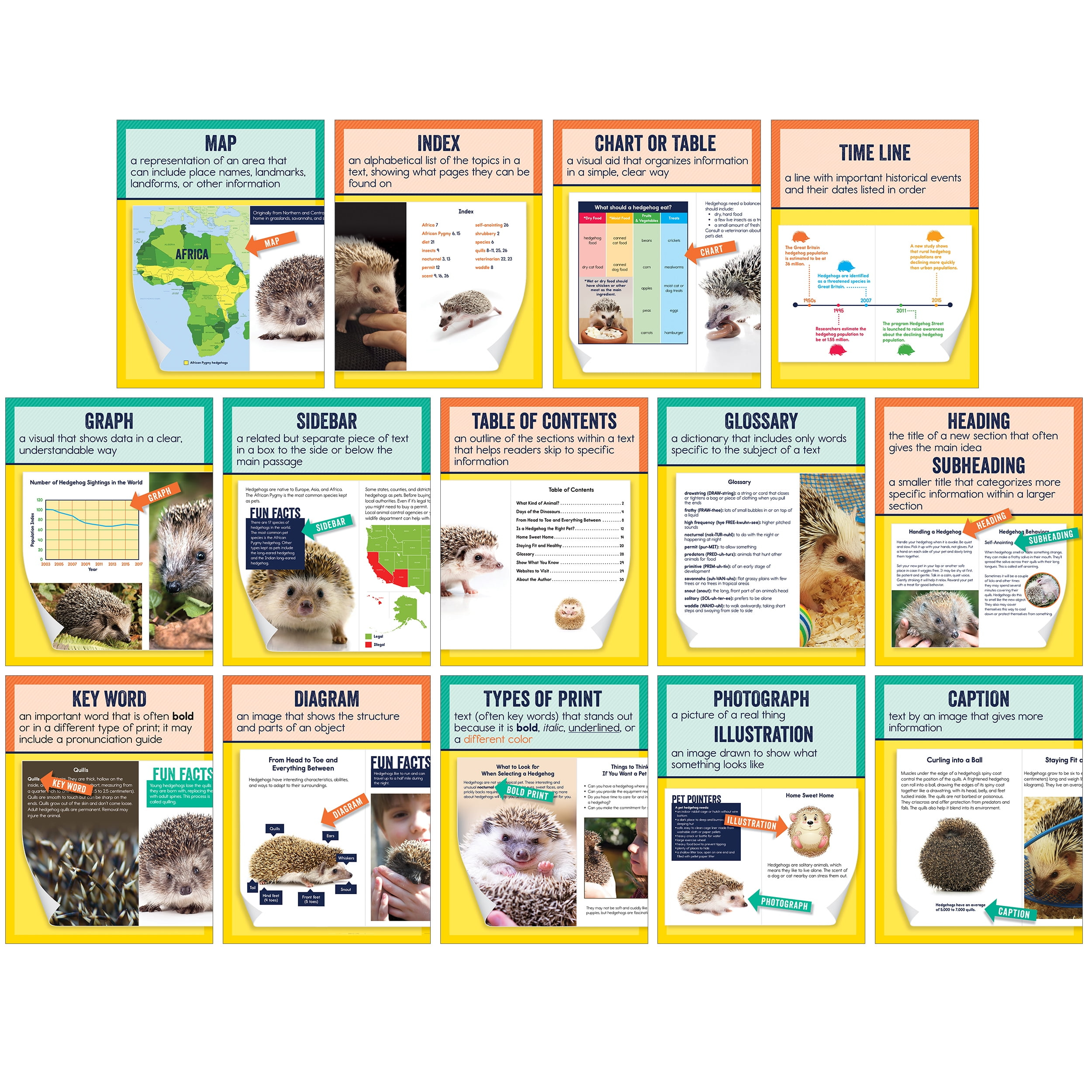 Carson Dellosa Mini Posters: Nonfiction Text Features Poster Set (14 mini posters) Grade 1-6