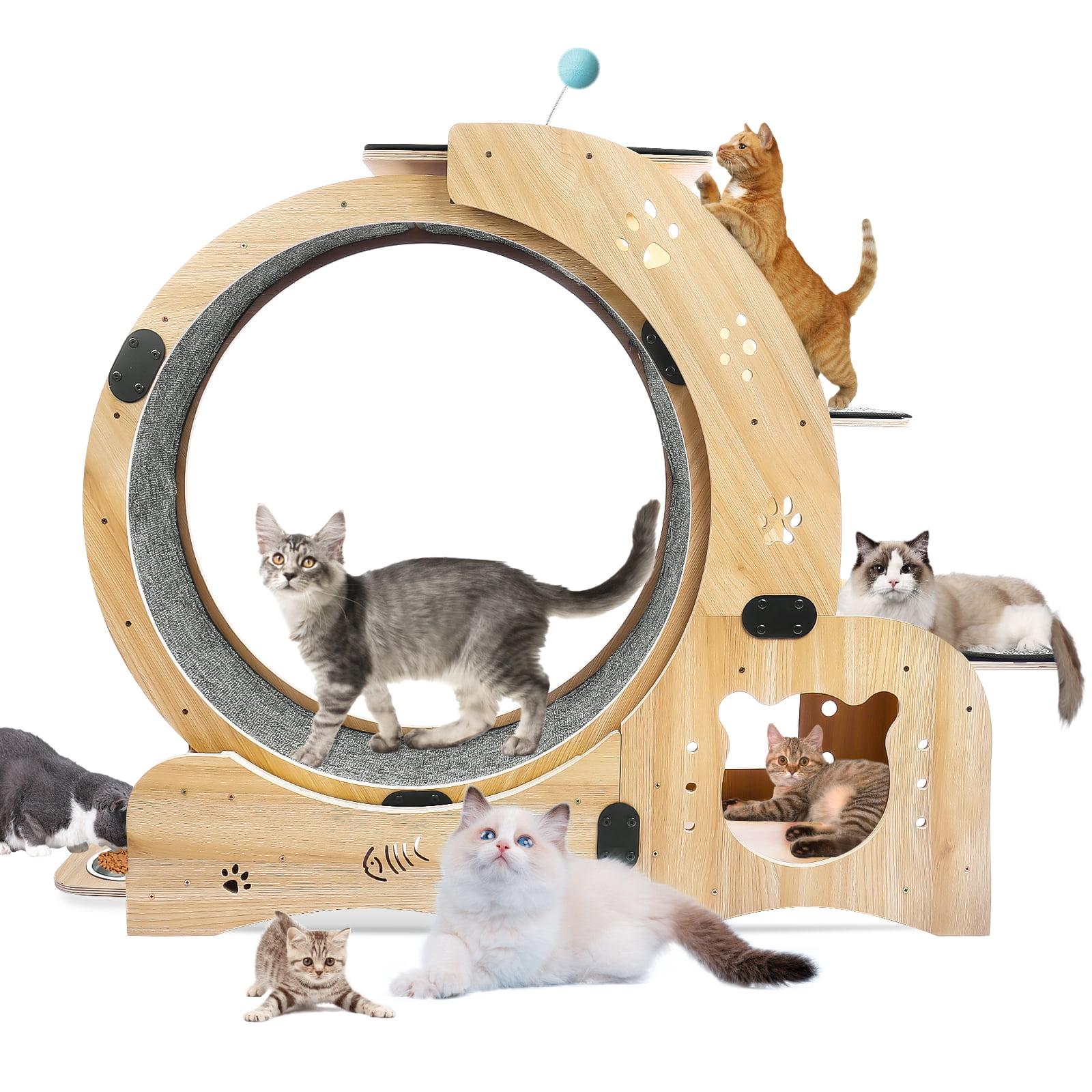 CuisinSmart Cat Running Wheel Nature Wood Kitty Large Wooden Running Wheel Pet Toy Cats Loss Weight Device Cat Rotating Wheel 4 in 1 Ultra Quiet Large Cat Wheel Exercise Treadmill