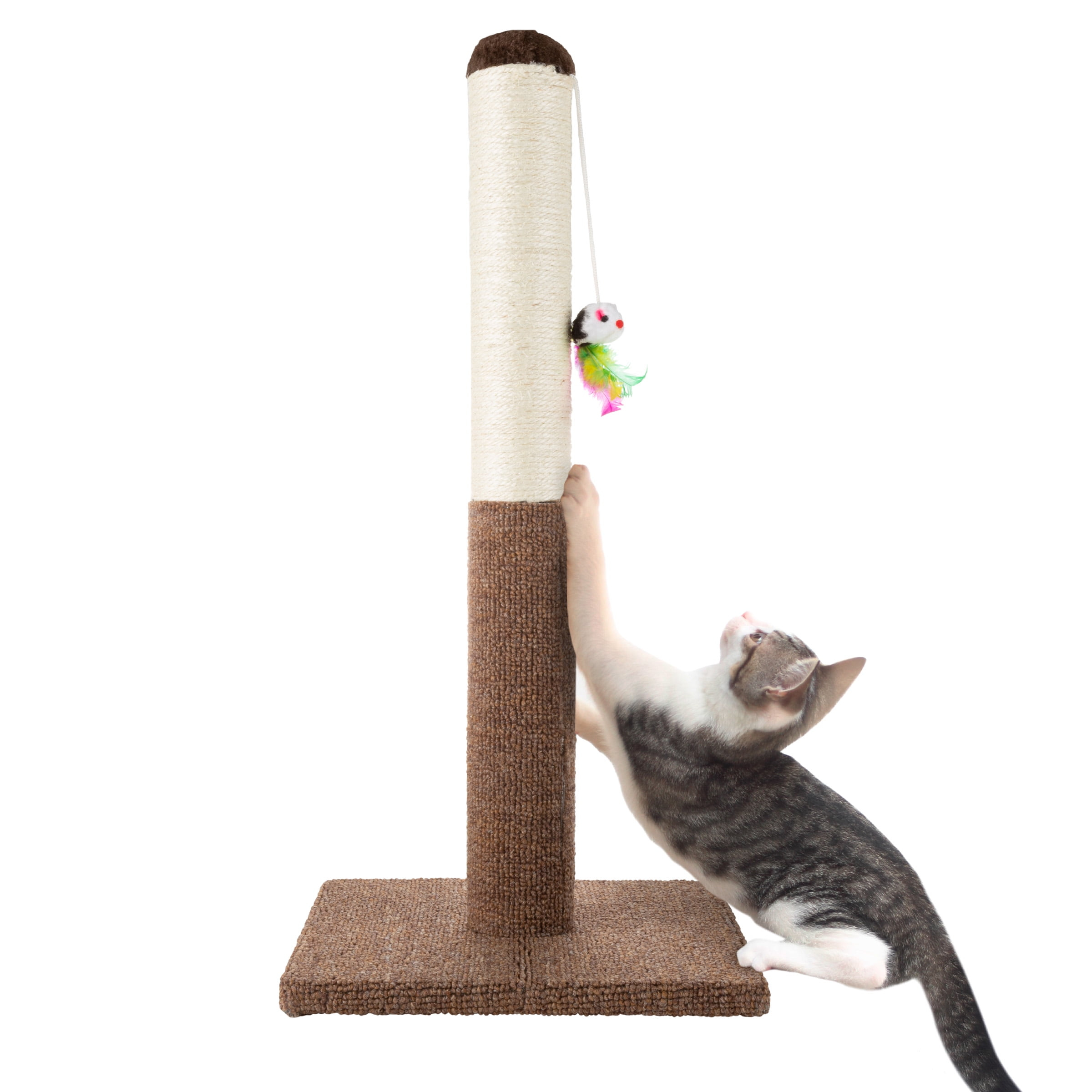 Cat Scratching Post - Tall Scratcher for Cats and Kittens with Sisal Rope and Carpet Hanging Mouse Toy for Interactive Play by PETMAKER (24.5 Inch)