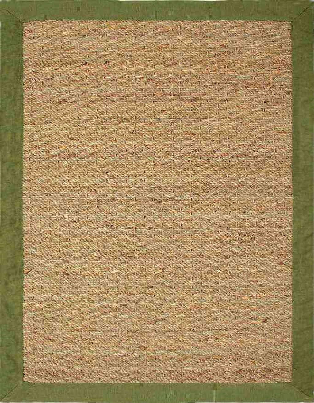 Chesapeake Seagrass Area Rug with Sage border (5'x7')
