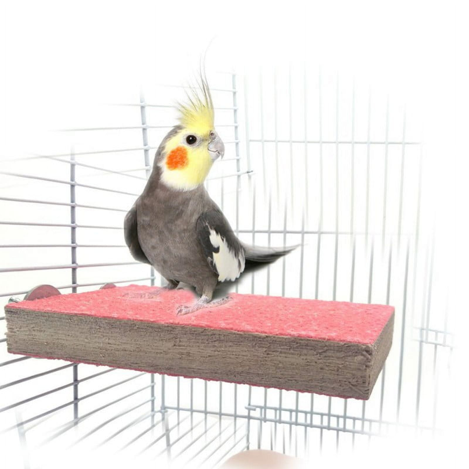 Colorful Bird Perch Stand Platform Natural Wood Playground Paw Grinding Clean for Pet Parrot Budgies Parakeet Cockatiels Hamster Gerbil Rat Mouse Cage Accessories Exercise Toys (Random Color)