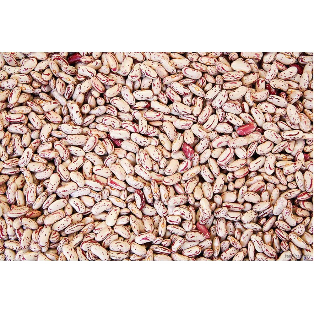 Commodity Beans (Price/Pack)Commodity Triple Clean Pinto Bean 50 Pounds Per Pack - 1 Per Case