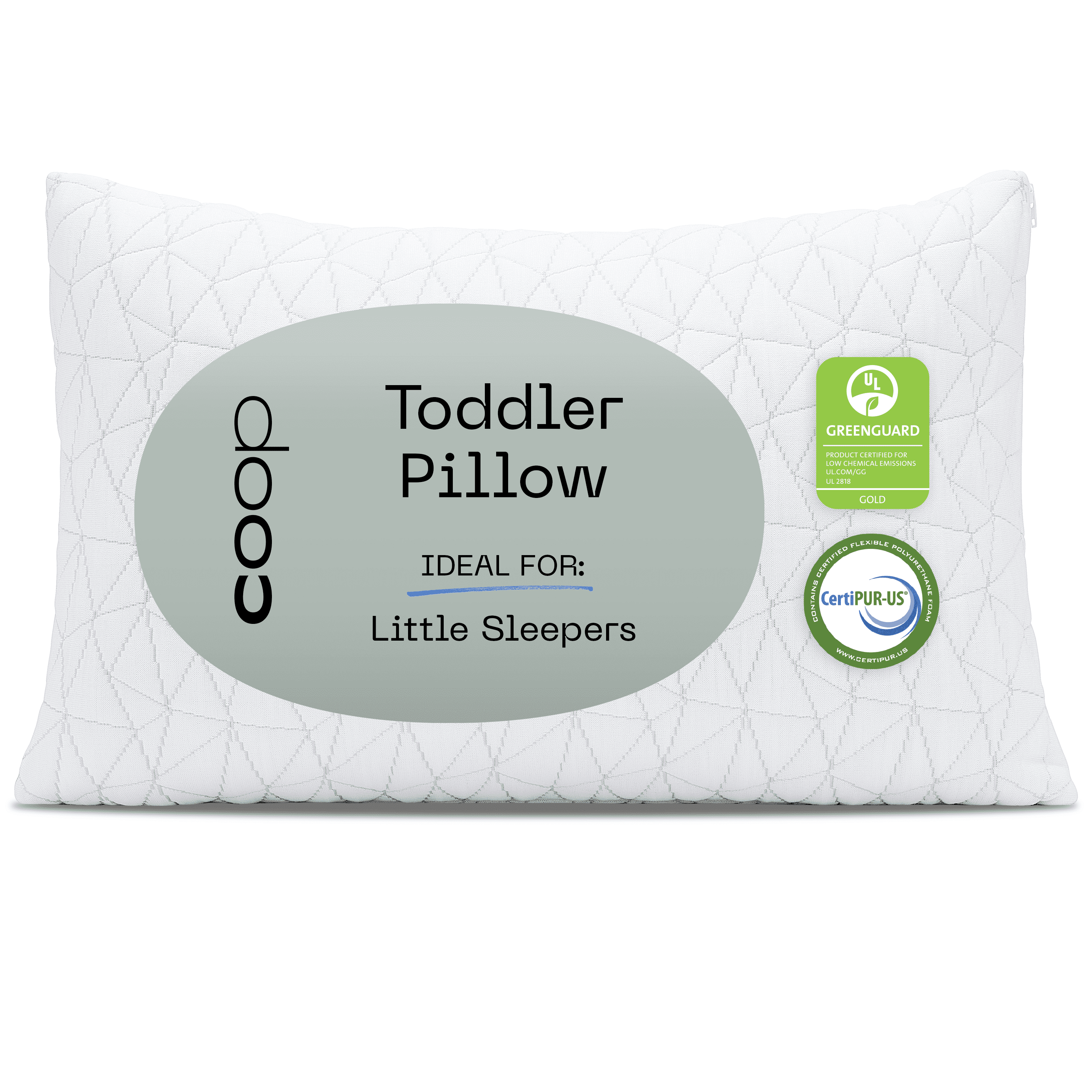 Coop Home Goods Memory Foam Toddler Pillow for Sleeping