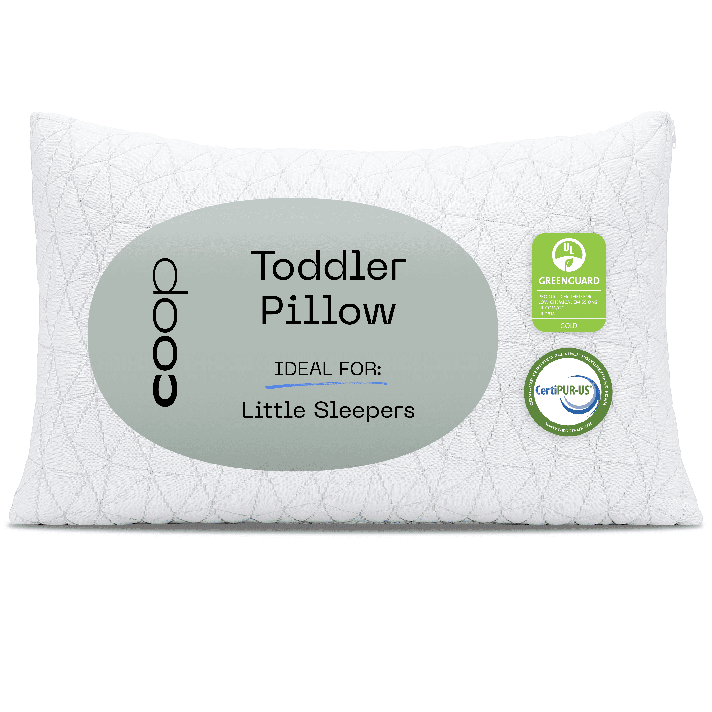Coop Home Goods Memory Foam Toddler Pillow for Sleeping