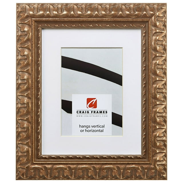 Craig Frames Bravado Ornate, 24x36 inch Antique Bronze Picture Frame Matted for a 20x30 Photo