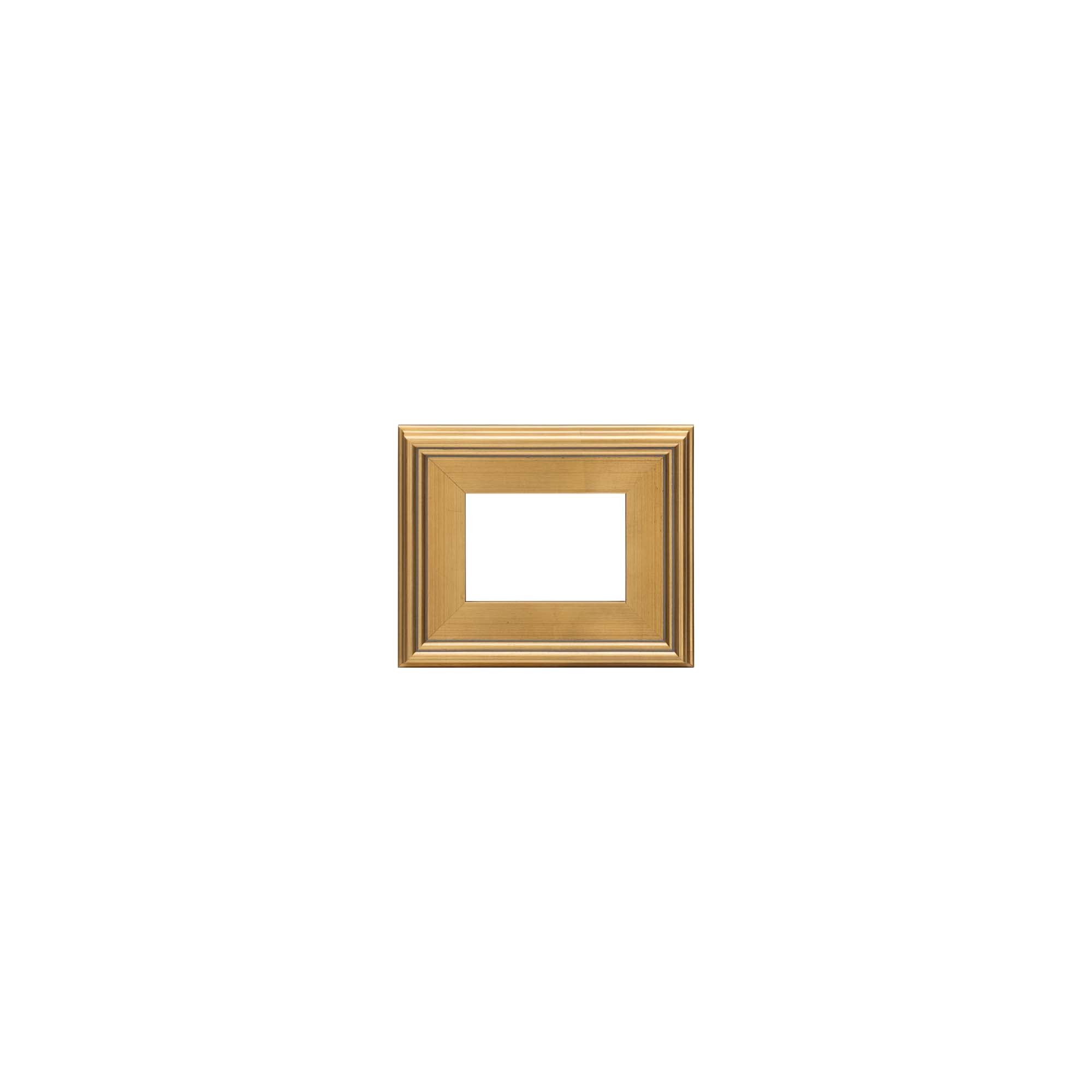 Creative Mark Plein Air Wooden Picture Frame - 5X7 Gold - Professional Single Frame for Art Panels, Stretched Canvas, Pictures and More, glass and backing not included
