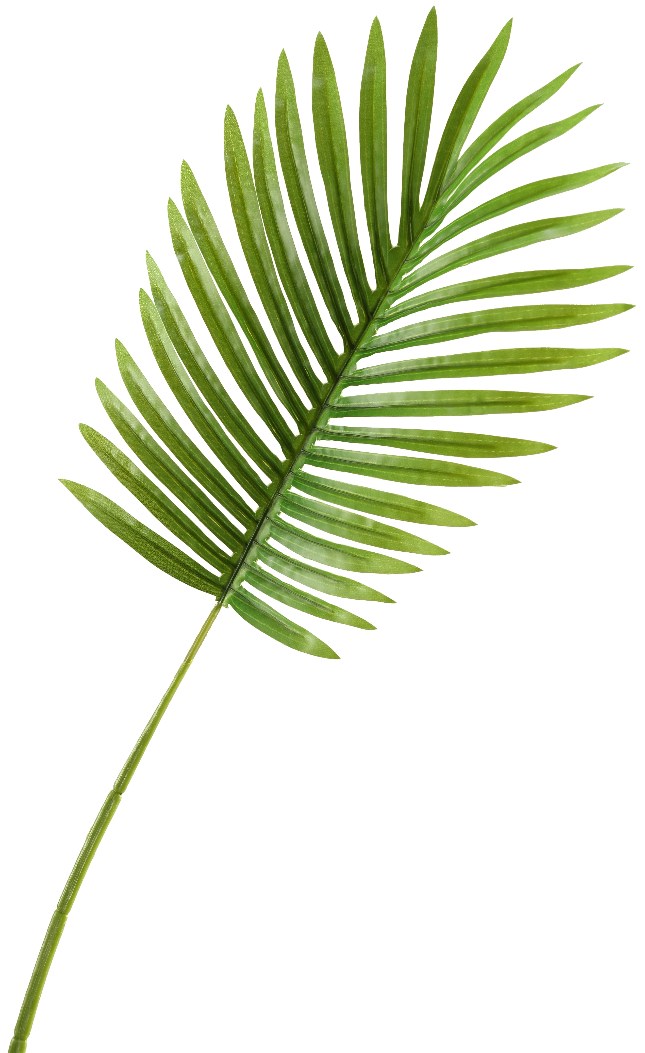 D&W Silks - Small Hawaiian Palm Leaf - Set of 3