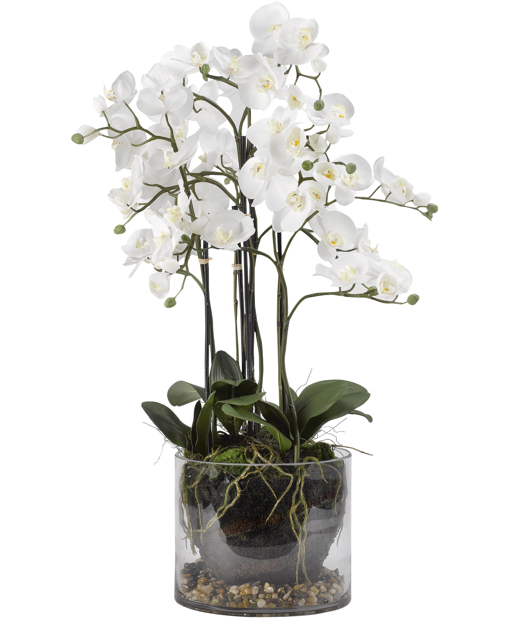 D&W Silks - White Orchids in Glass Dish