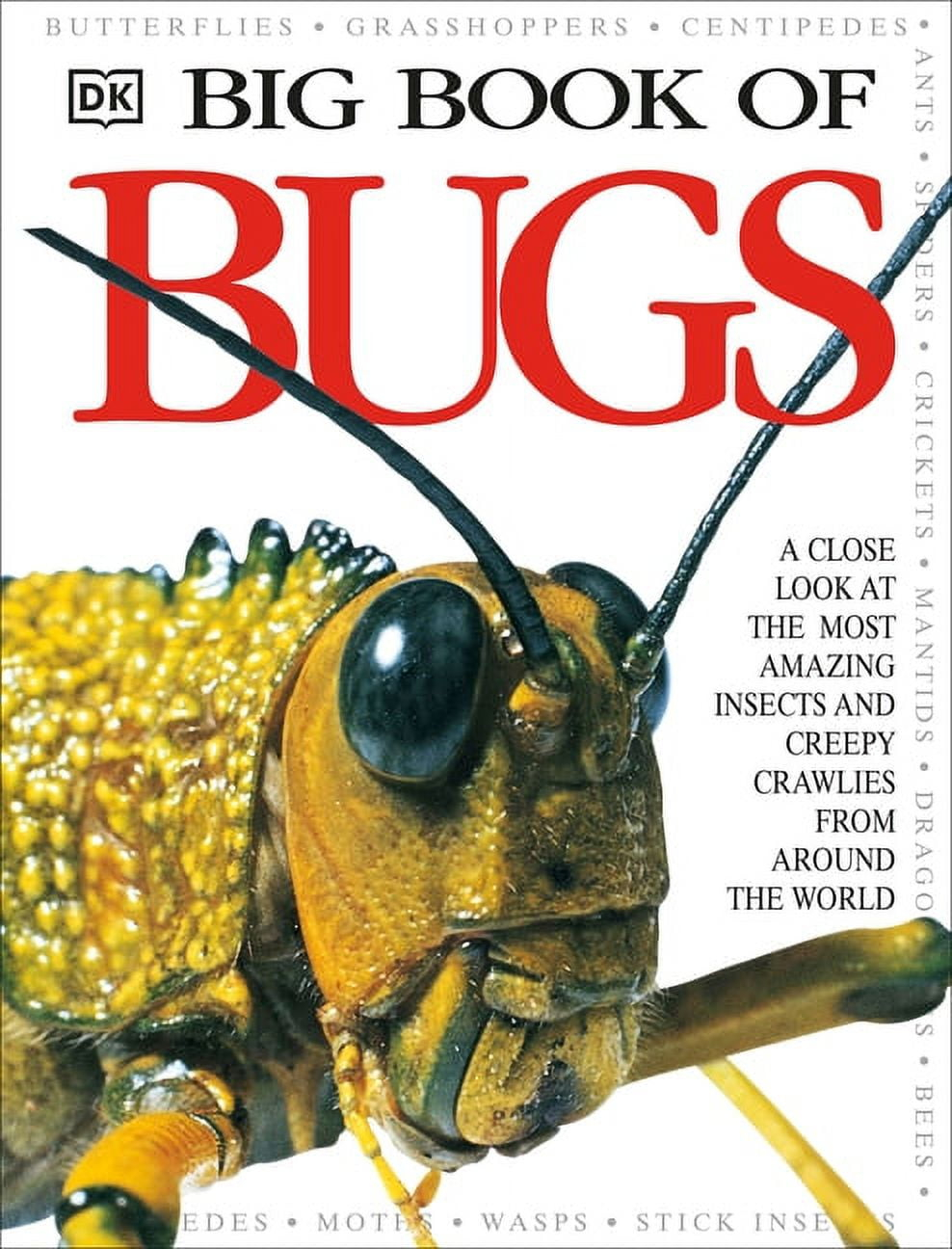 Big Book of Bugs - (DK Big Books) by  DK (Hardcover)