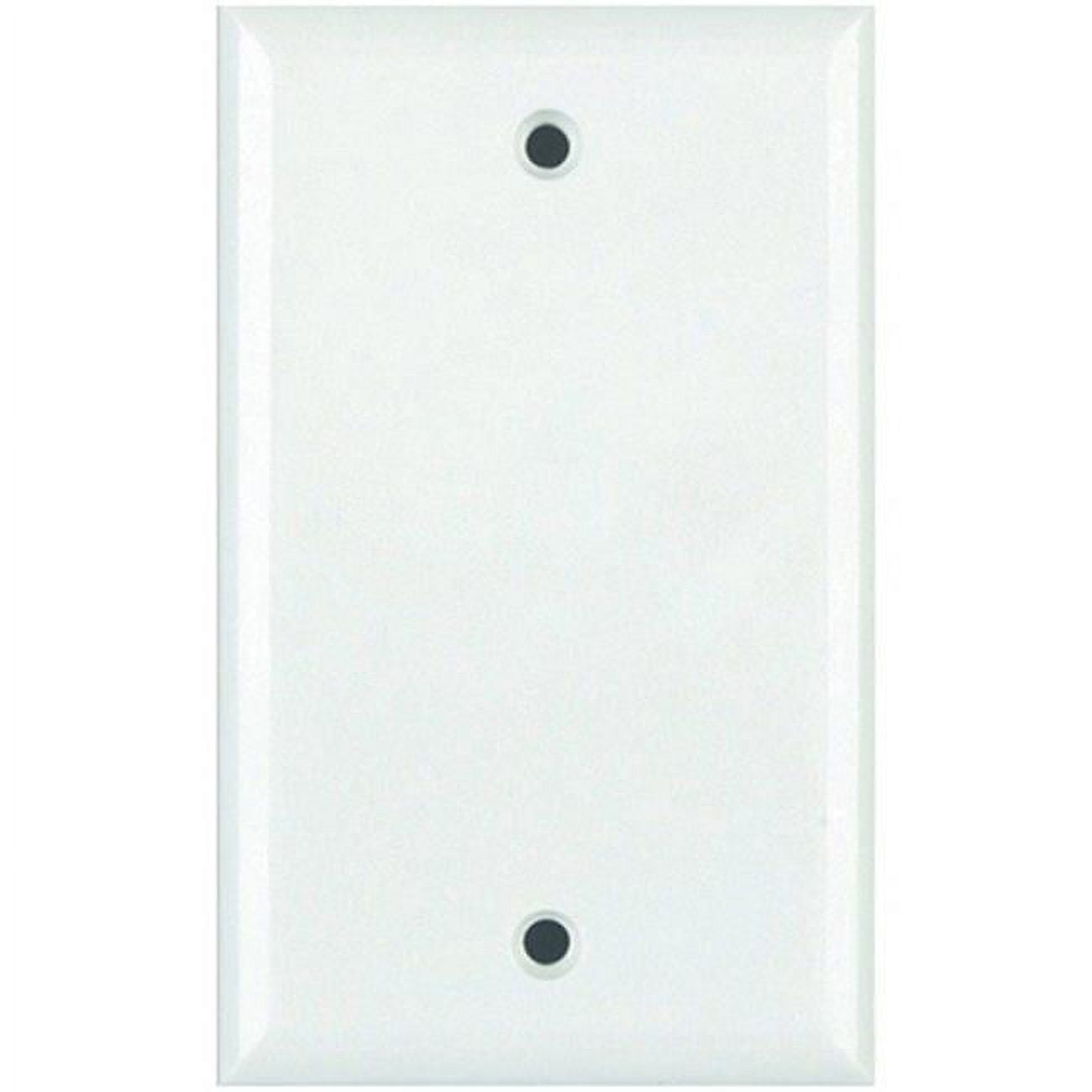 DataComm Electronics Standard Blank Wall Plate (White)