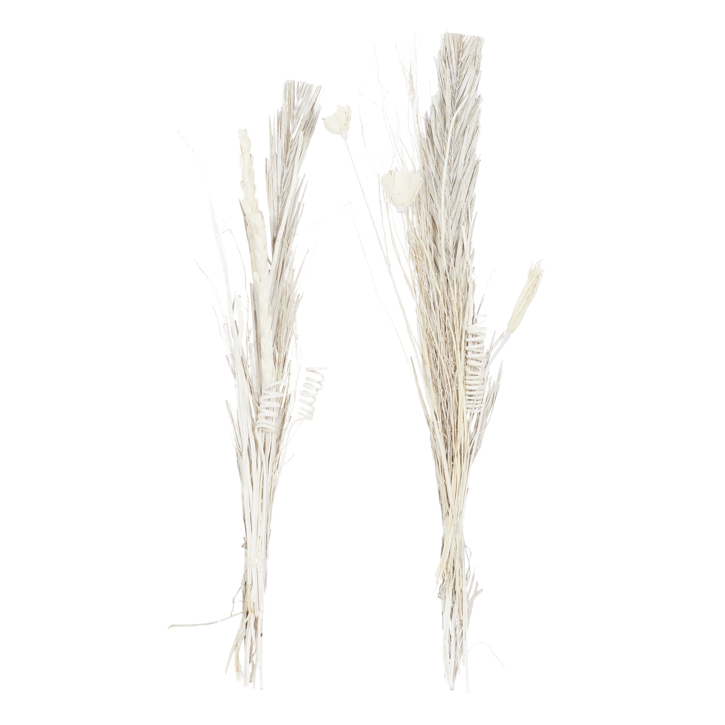 DecMode Farmhouse Dried Floral Natural Foliage Set of 2, 7"W x 56"H, with Brown, White and Beige Finish