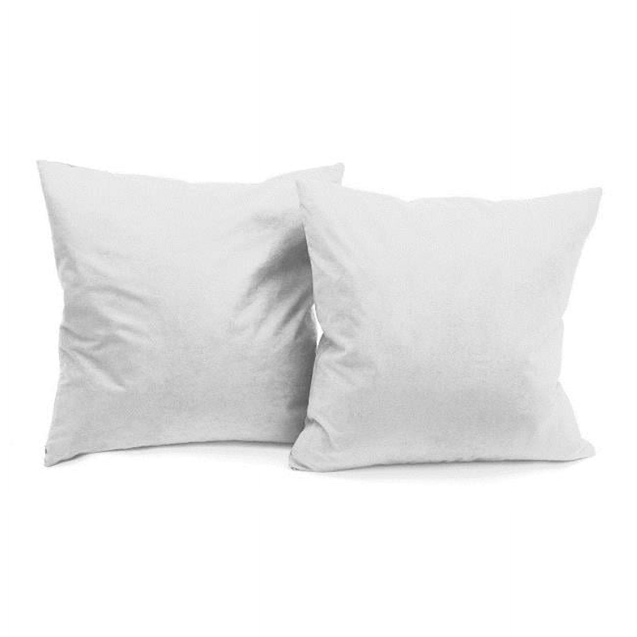Deluxe Comfort Feather Throw Pillow (Set of 2)