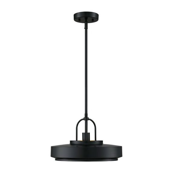 Designers Fountain Odea 14 inch 1-Light Matte Black Transitional Pendant Light, D295M-14P-MB